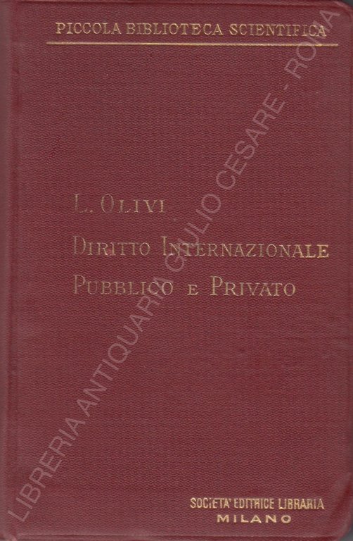 Manuale di diritto internazionale pubblico e privato | Immagine Gallery 2