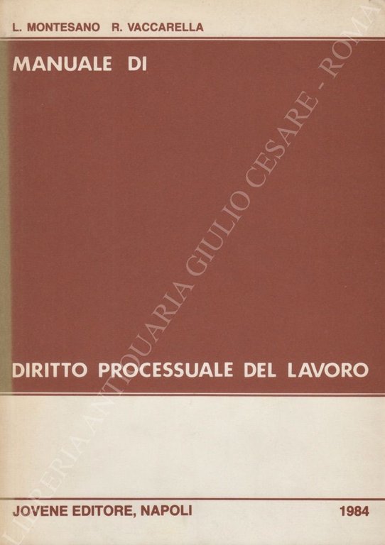 Manuale di diritto processuale del lavoro | Immagine Gallery 2