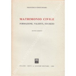 Matrimonio civile. Formazione, validità, divorzio | Immagine principale