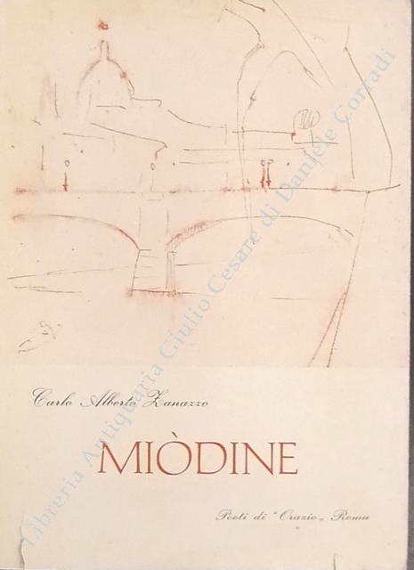 Miodine | Immagine Gallery 2