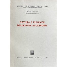 Natura e funzioni delle pene accessorie