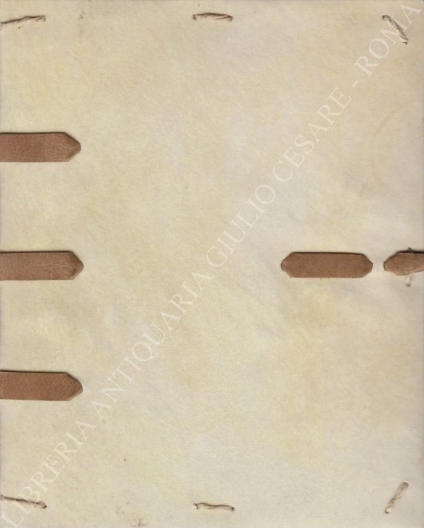 Nomina et virtutes balneorum sev de balneis puteolorum et baiarum. … | Immagine Gallery 2