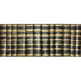 Opera ad parisiensem Fabrotianam editionem diligentissime exacta in tomos XIII …
