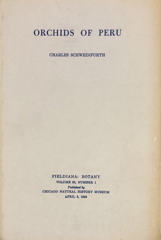 Orchids of Peru | Immagine Gallery 2