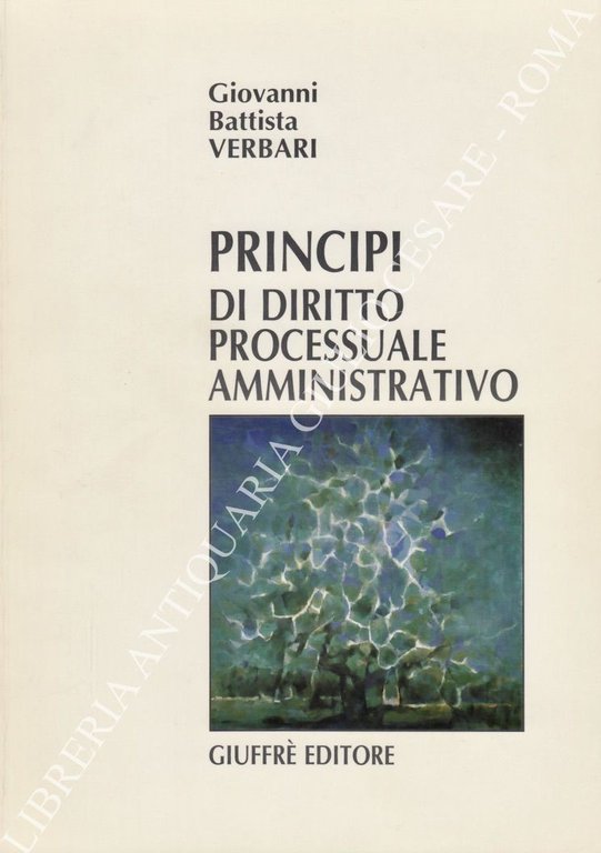 Principi di diritto processuale amministrativo | Immagine Gallery 2