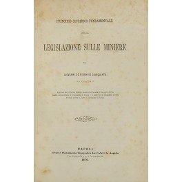 Principio giuridico fondamentale della legislazione sulle miniere