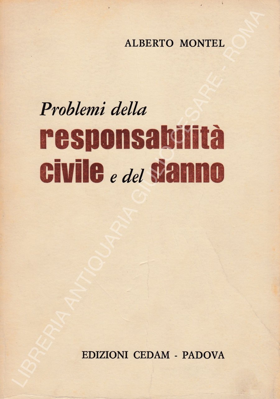 Problemi della responsabilitˆ civile e del danno | Immagine principale
