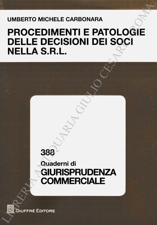 Procedimenti e patologie delle decisioni dei soci nella S.R.L. | Immagine Gallery 2