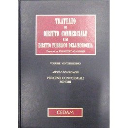 Processi concorsuali minori. Concordato preventivo, amministrazione controllata, liquidazione coatta, e … | Immagine principale