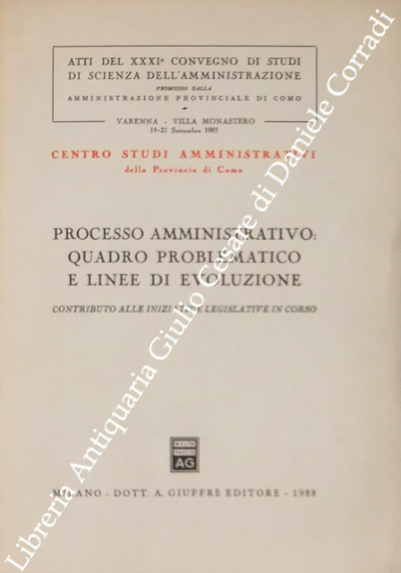 Processo amministrativo: quadro problematico e linee di evoluzione. Contributo alle … | Immagine Gallery 2