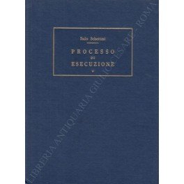 Processo di esecuzione. Parte I - Profili e rilievi - …