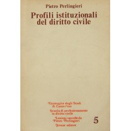 Profili istituzionali del diritto civile