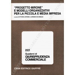Progetto Mirone" e modelli organizzativi per la piccola e media …