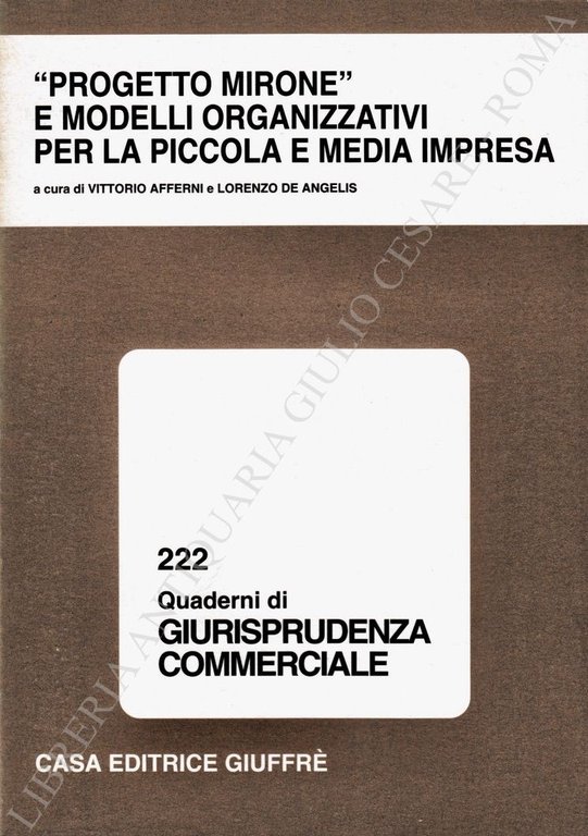 "Progetto Mirone" e modelli organizzativi per la piccola e media … | Immagine Gallery 2