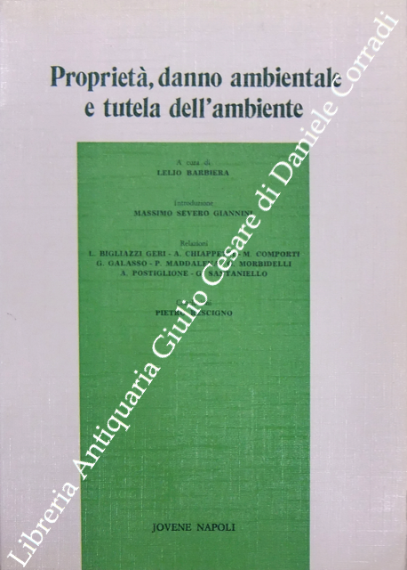 Proprietà, danno ambientale e tutela dell'ambiente | Immagine Gallery 2