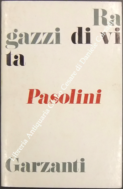 Ragazzi di vita | Immagine Gallery 2