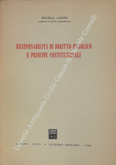 Responsabilità di diritto pubblico e principi costituzionali | Immagine Gallery 2