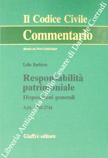 Responsabilità patrimoniale. Disposizioni generali. Artt. 2740-2744 | Immagine Gallery 2