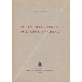 Rilievi sulla teoria dell'azione finalistica | Immagine principale