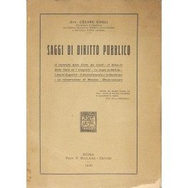 Saggi di diritto pubblico. Il controllo della Corte dei Conti; …