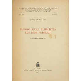 Saggio sulla pubblicità dei beni pubblici. Un'analisi introduttiva | Immagine principale