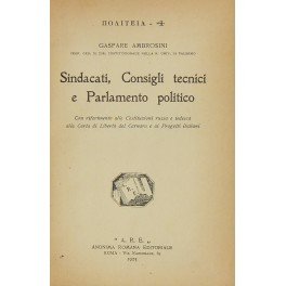 Sindacati Consigli tecnici e Parlamento politico. Con riferimento alle Costituzioni …