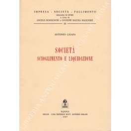 Società scioglimento e liquidazione