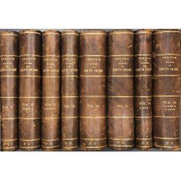 Storia del diritto italiano dalla caduta dell'Impero romano alla codificazione. …