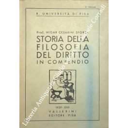 Storia della filosofia del diritto in compendio