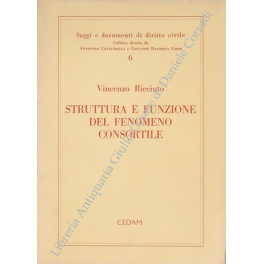Struttura e funzione del fenomeno consortile | Immagine principale
