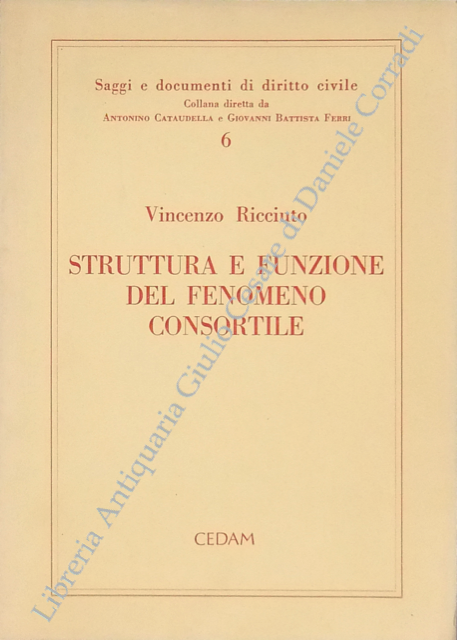 Struttura e funzione del fenomeno consortile | Immagine Gallery 2