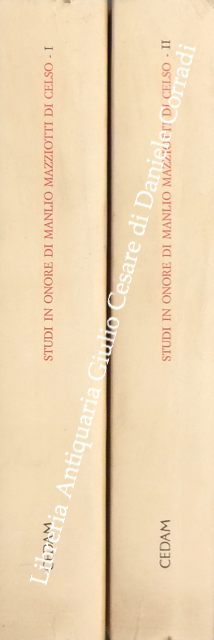 Studi in onore di Manlio Mazziotti di Celso | Immagine Gallery 2