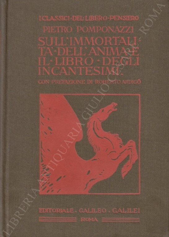 Sull'immortalità dell'anima e il libro degli incantesimi | Immagine Gallery 2