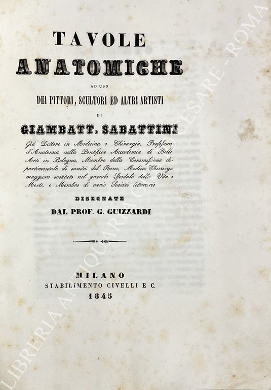 Tavole anatomiche ad uso dei pittori, scultori ed altri artisti | Immagine Gallery 2