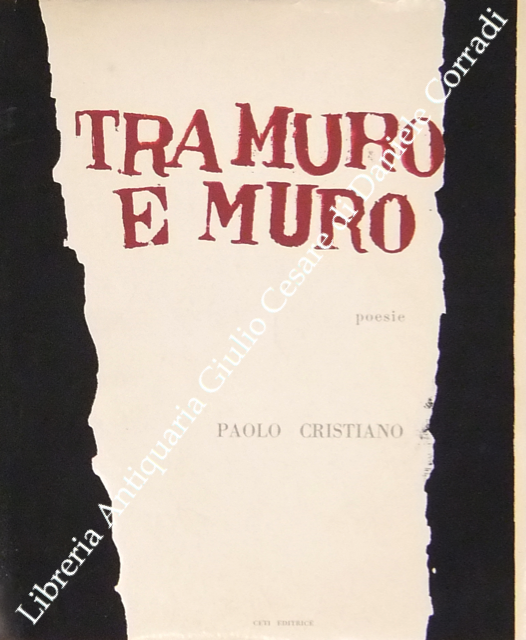Tra muro e muro | Immagine Gallery 2
