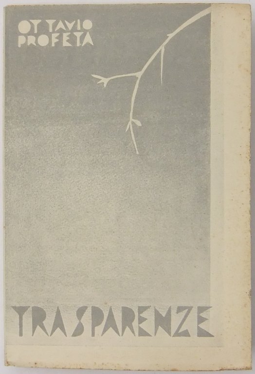 Trasparenze | Immagine Gallery 2