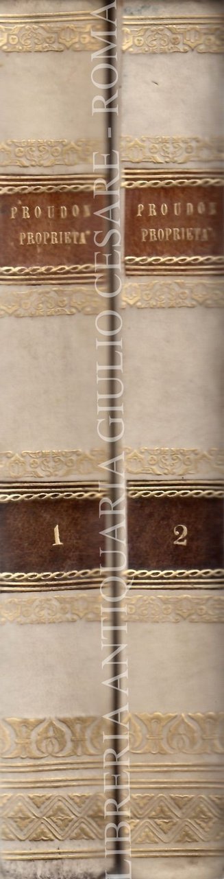 Trattato del dominio di proprietà ovvero della distinzione dei beni … | Immagine principale