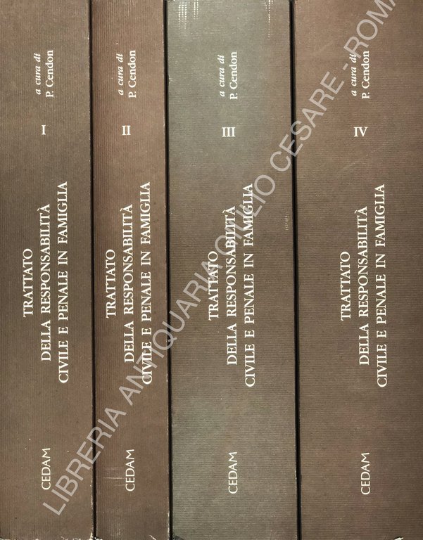 Trattato della responsabilità civile e penale in famiglia | Immagine Gallery 2
