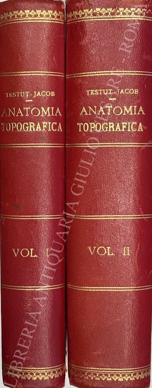 Trattato di anatomia topografica con applicazioni medico chirurgiche | Immagine Gallery 2