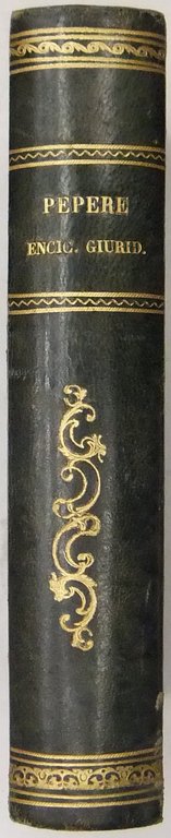 Trattato di enciclopedia giuridica. Vol. I (unico pubblicato) | Immagine Gallery 2