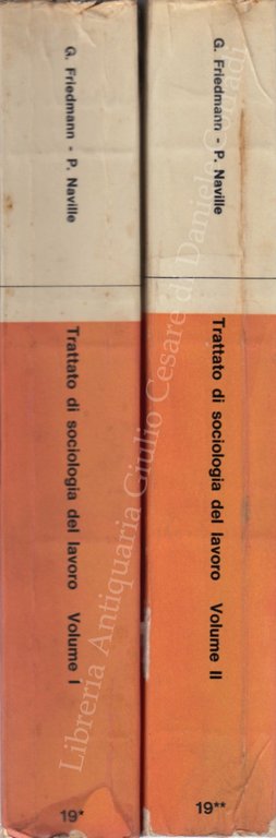 Trattato di sociologia del lavoro | Immagine Gallery 2