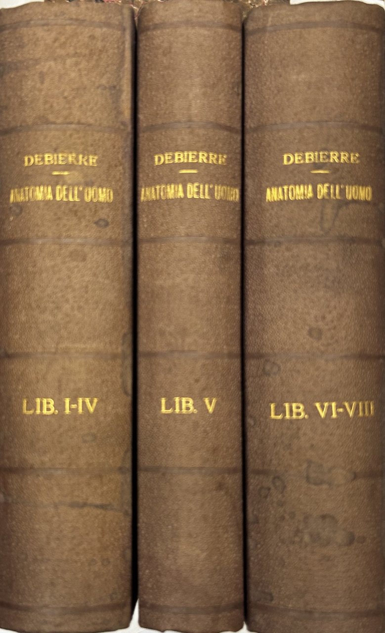 Trattato elementare di anatomia dell'uomo (anatomia descrittiva e dissezione) con … | Immagine principale