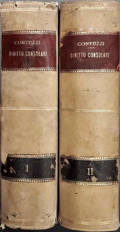 Trattato teorico-pratico di diritto consolare e diplomatico nei raffronti coi … | Immagine Gallery 2