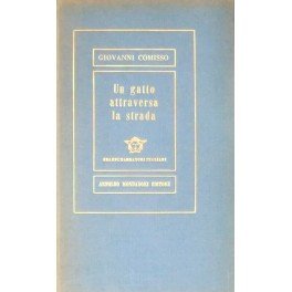 Un gatto attraversa la strada. Racconti