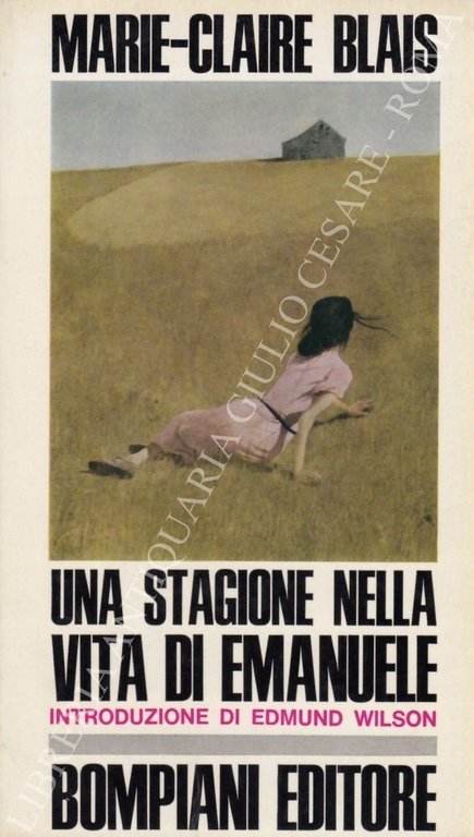 Una stagione nella vita di Emanuele | Immagine Gallery 2