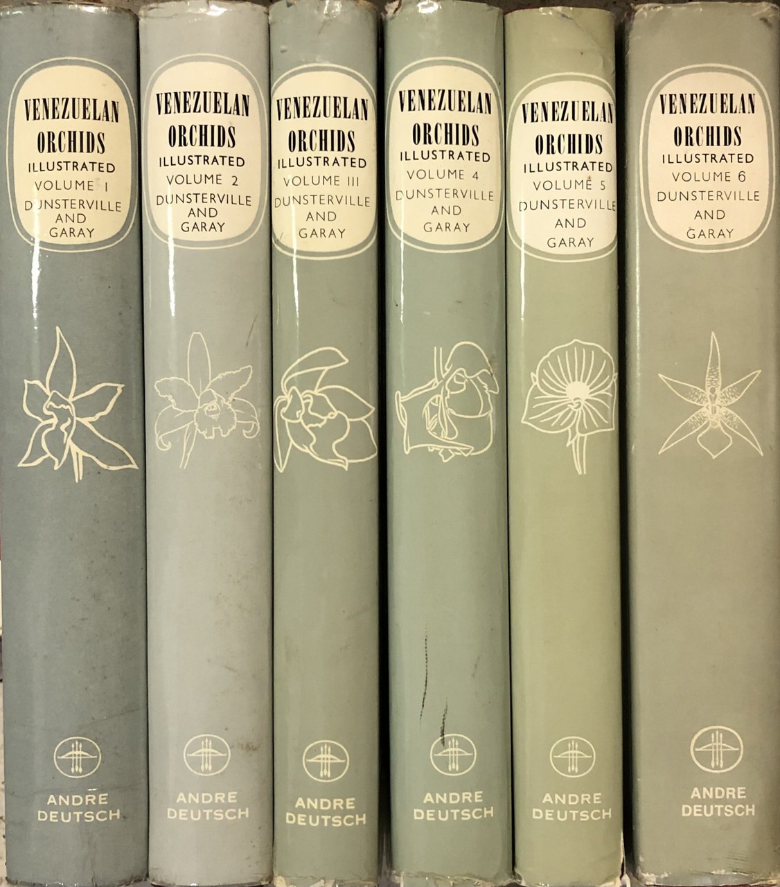 Venezuelan orchids illustrated | Immagine principale
