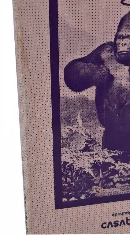 ARCHITETTURA 'RADICALE'