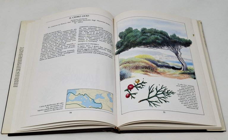 ATLANTE DEGLI ALBERI D'ITALIA