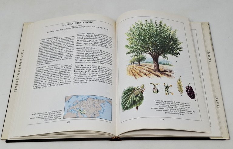 ATLANTE DEGLI ALBERI D'ITALIA