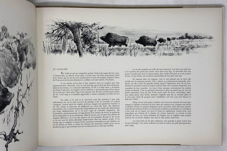 BESTIAIRE DE NOS FORETS